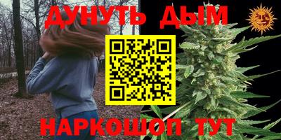сатива Кулебаки