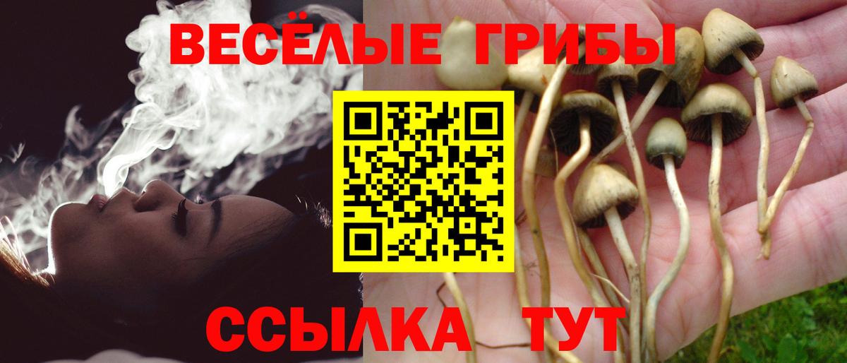 Звенигород  Галлюциногенные грибы мухоморы  купить закладку  Вход с VPN 